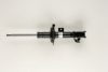 BILSTEIN 22-166739 Shock Absorber